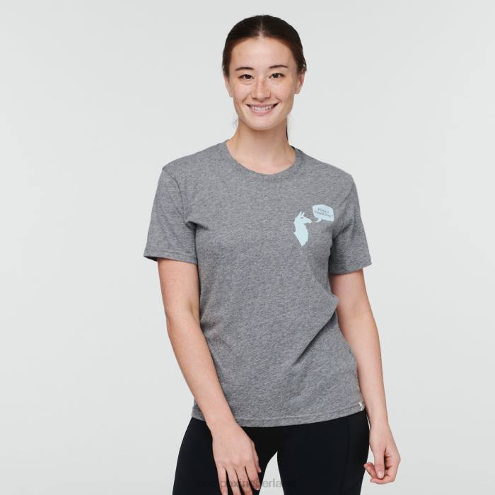 heb een goede dag t-shirt vrouwen Cotopaxi heide grijs LDZ068 kleding
